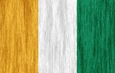 flag 